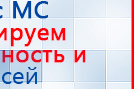 Пояс электрод купить в Калининграде, Электроды Меркурий купить в Калининграде, Скэнар официальный сайт - denasvertebra.ru